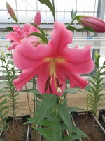 [4570 VH46 No02.JPG]